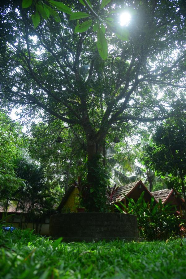 Savithri Inn Cottage Varkala Kültér fotó