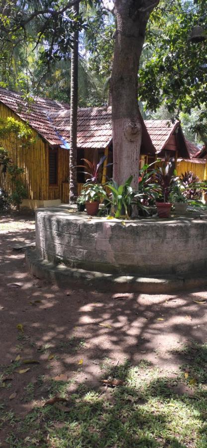 Savithri Inn Cottage Varkala Kültér fotó